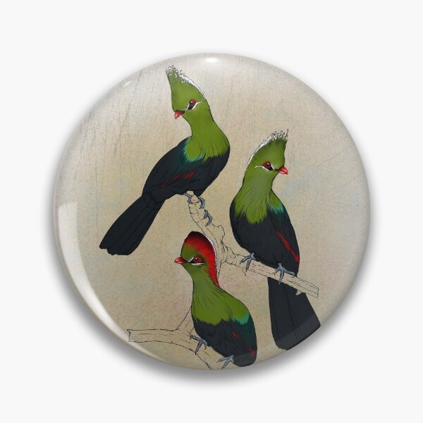 Item preview, Fischer's Turaco designed and sold by leandrojsj.
