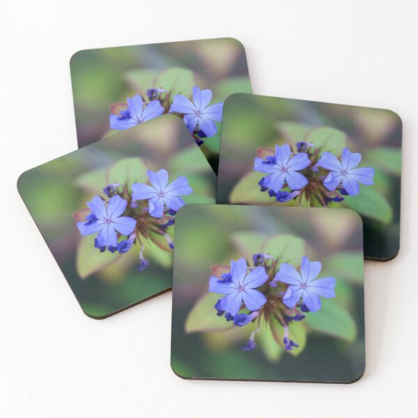 Item preview, Blue Plumbago Blooms designed and sold by Emmaline Jones.