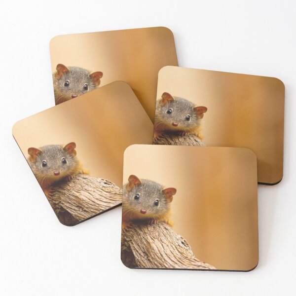 Item preview, Big World Small Mammal designed and sold by CBoyle.