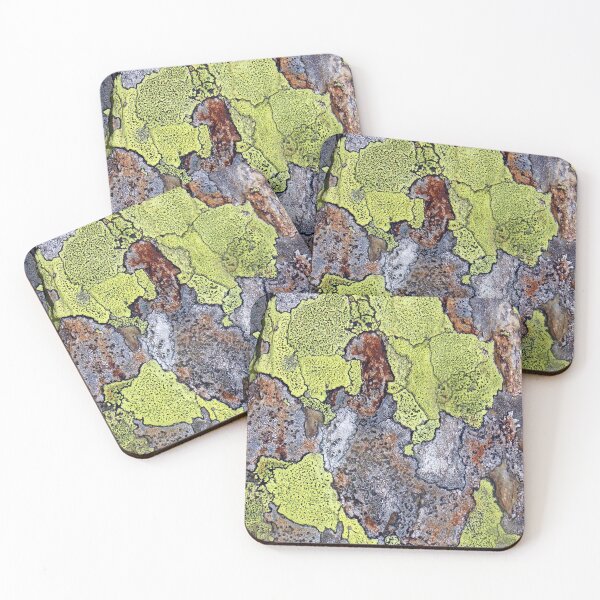 Item preview, lichen designed and sold by KathleenDawson.