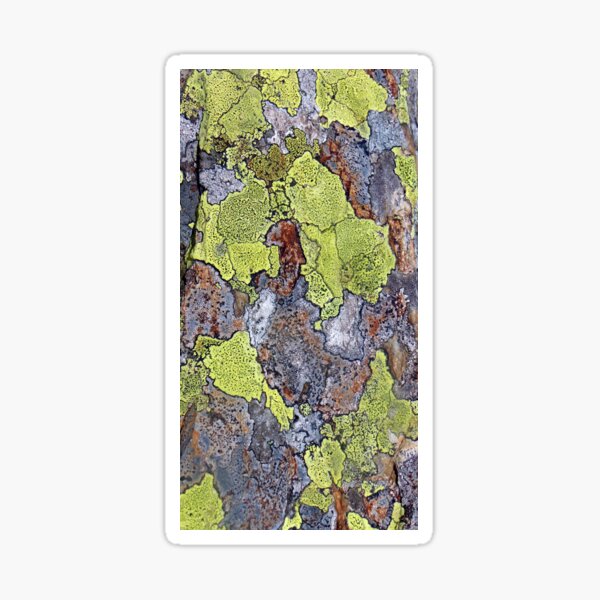 Item preview, lichen designed and sold by KathleenDawson.