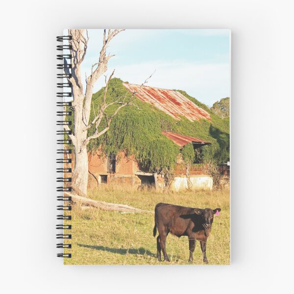 Item preview, Beaut Baby Bull and Rural Ruin designed and sold by KazM.