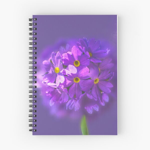 Item preview, Drumstick Primrose  designed and sold by Alisonchambers2.