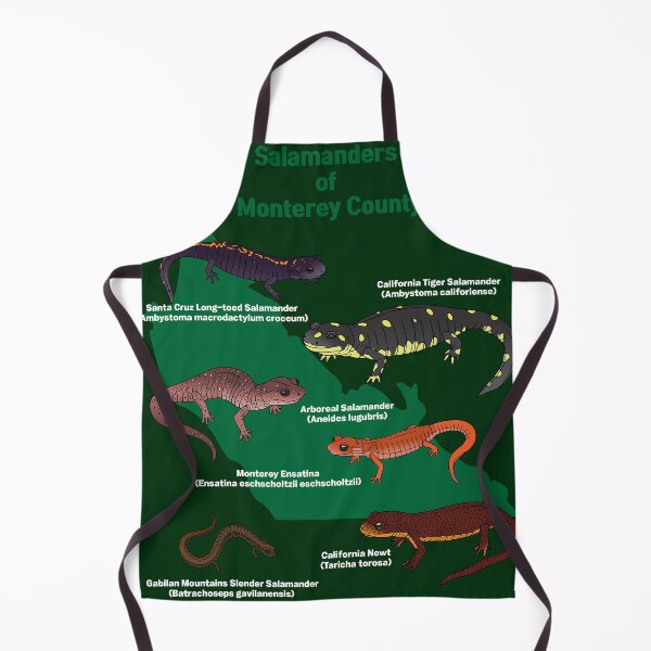 Item preview, Salamanders of Monterey County designed and sold by Fran Creates Art.