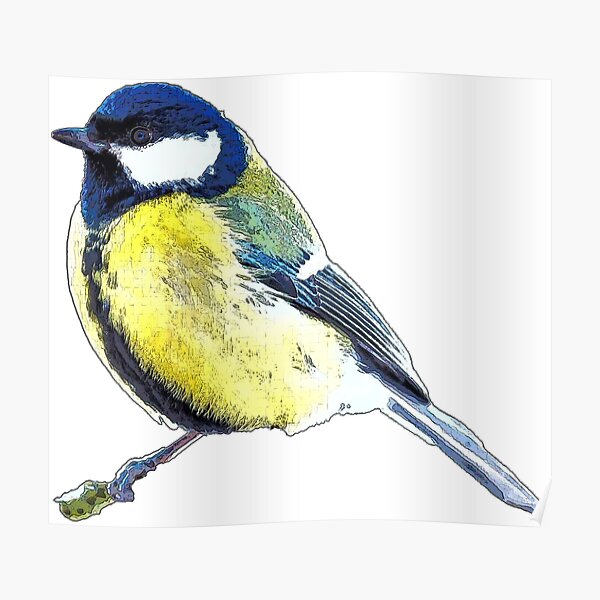 Great Tit Poster