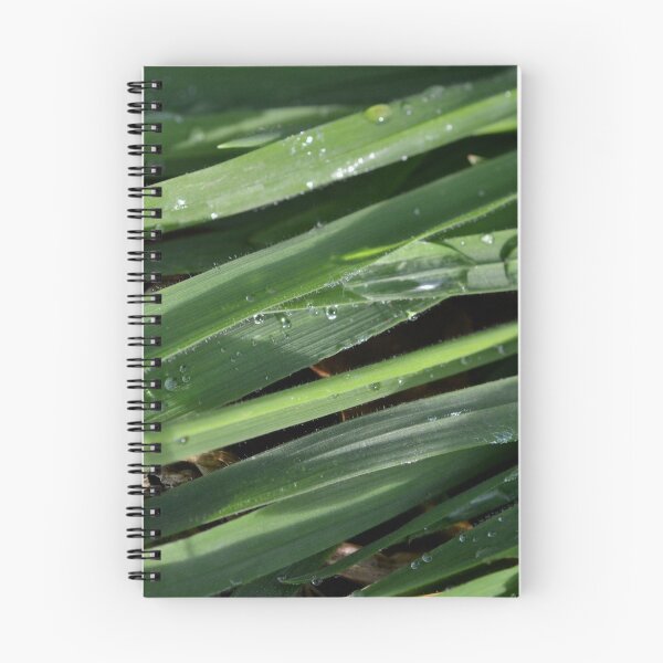 Item preview, Waterdrops on grass designed and sold by Elfchen.