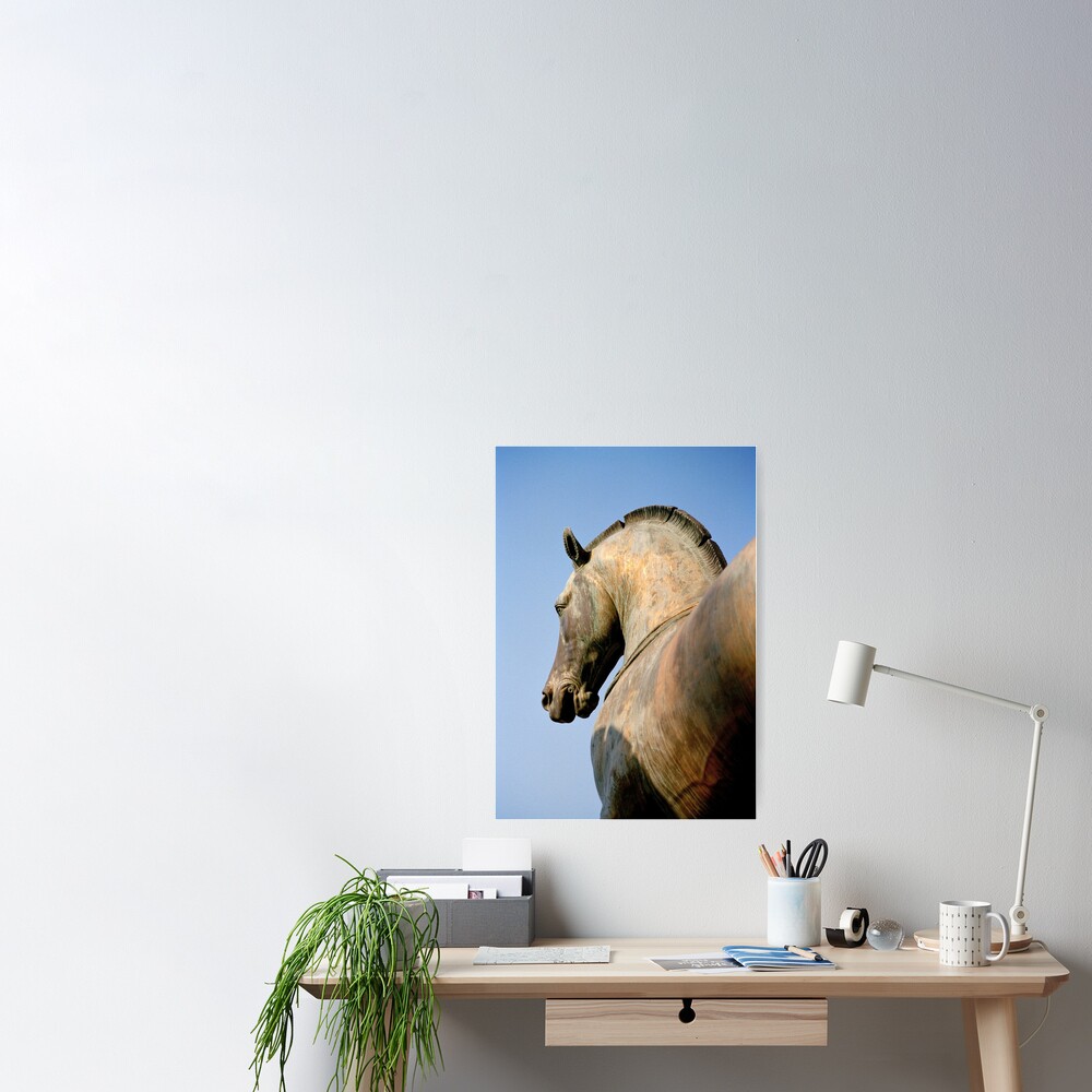 Bronze Horse, San Marco Poster