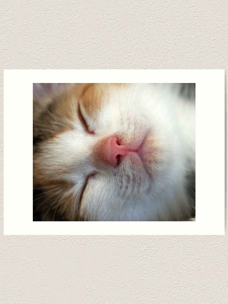 Thumbnail 2 of 3, Art Print, Sleeping Beauty designed and sold by Tiffany.