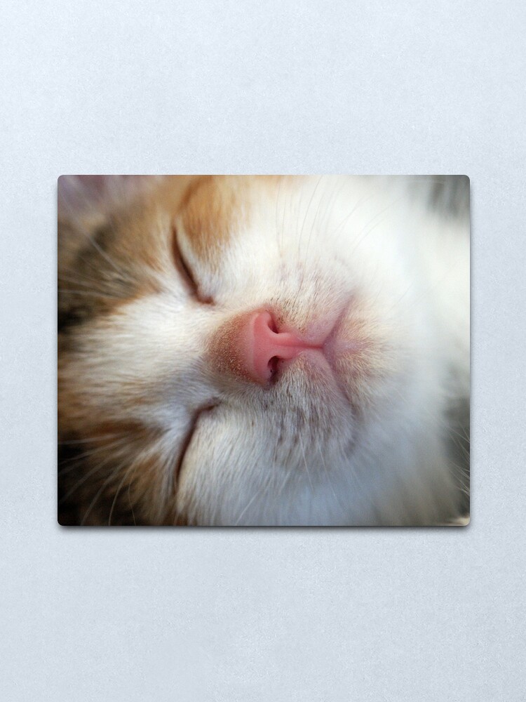 Alternate view of Sleeping Beauty Metal Print