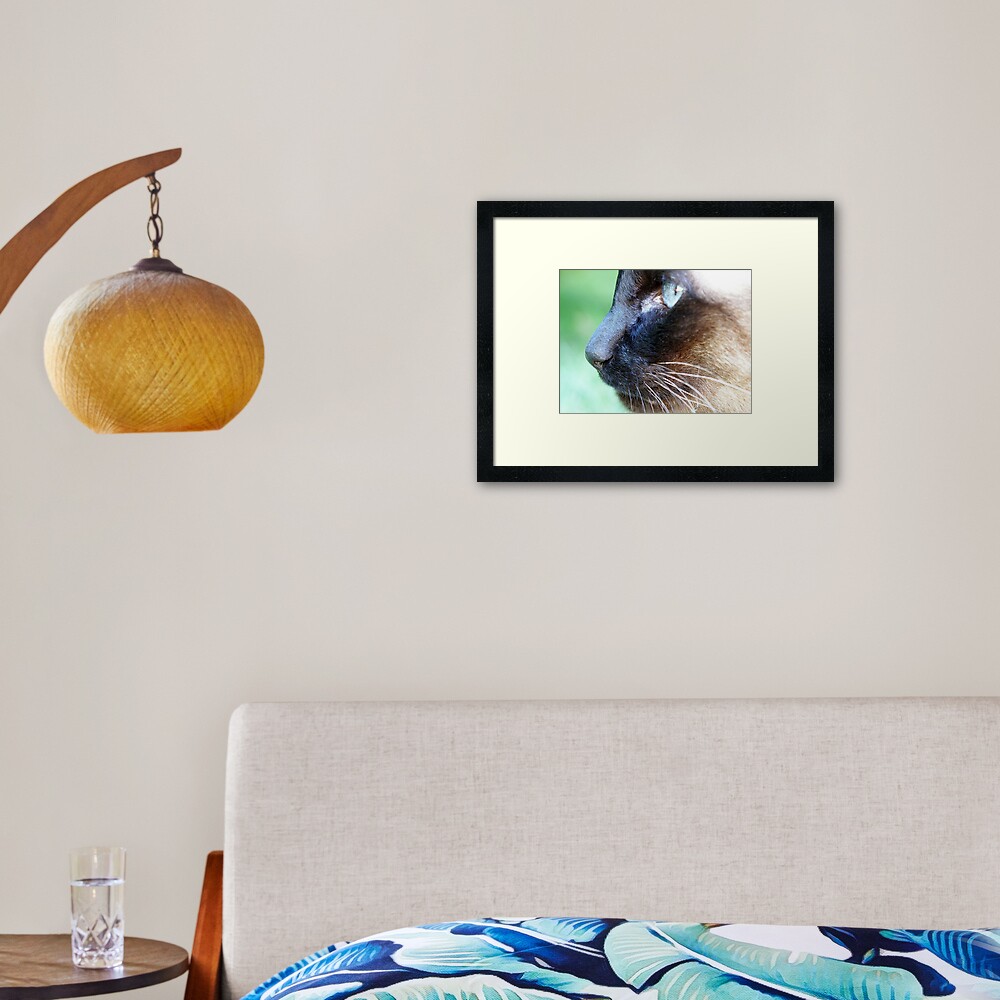 Siamese Framed Art Print