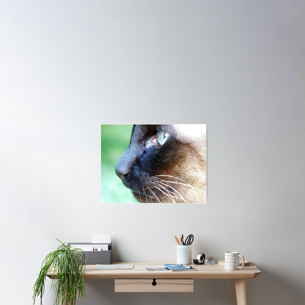 Siamese Poster