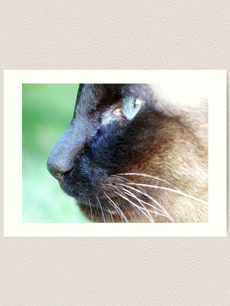 Alternate view of Siamese Art Print