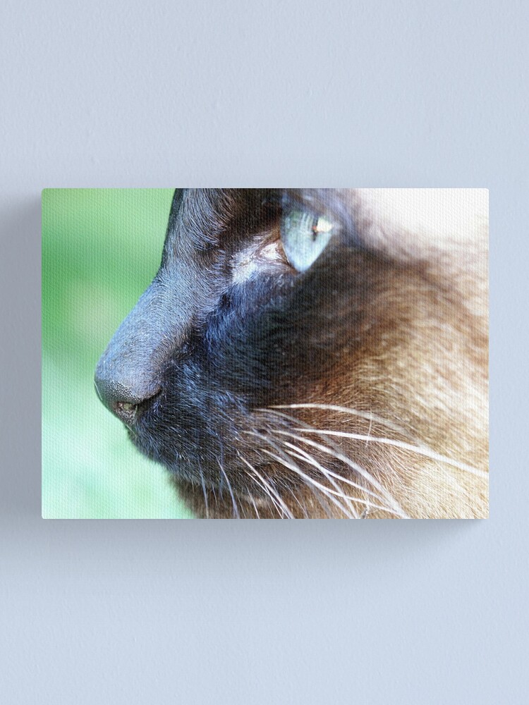 Alternate view of Siamese Canvas Print