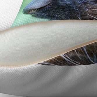 Alternate view of Siamese Throw Pillow
