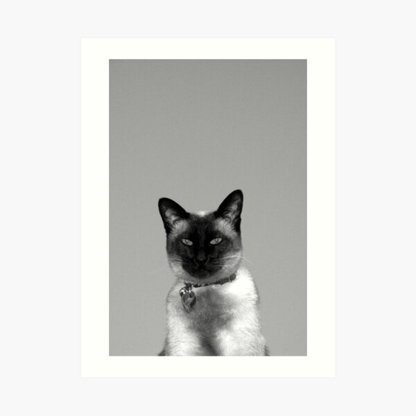 Watching Art Print