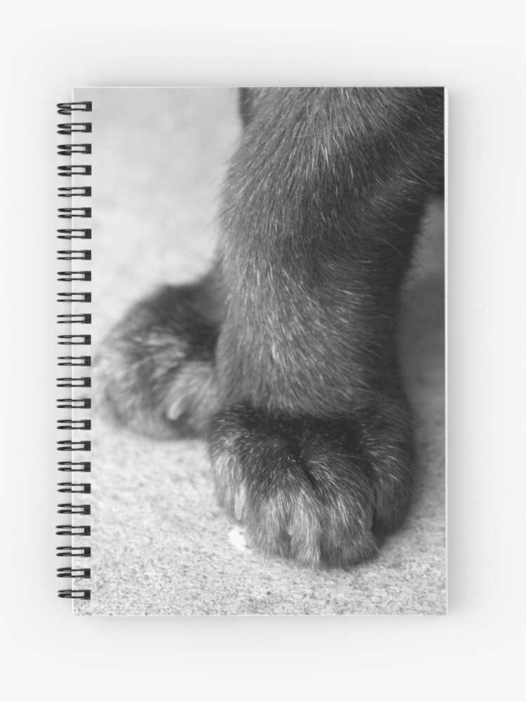 Thumbnail 1 of 3, Journal, 5th Position designed and sold by Tiffany.