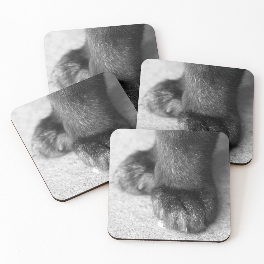 Item preview, Coasters (Set of 4) designed and sold by Tiffany.