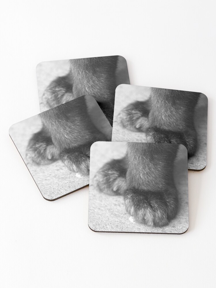 Thumbnail 1 of 5, Coasters (Set of 4), 5th Position designed and sold by Tiffany.