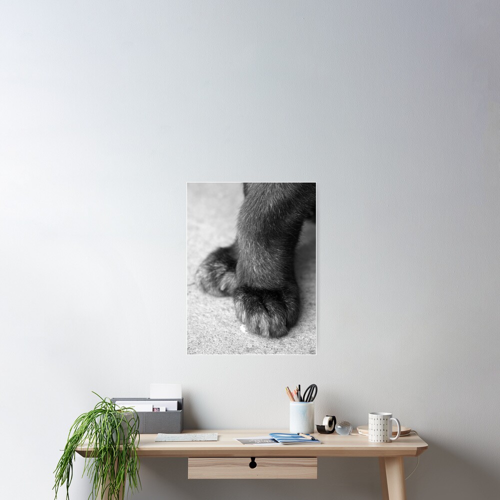 Item preview, Poster designed and sold by Tiffany.