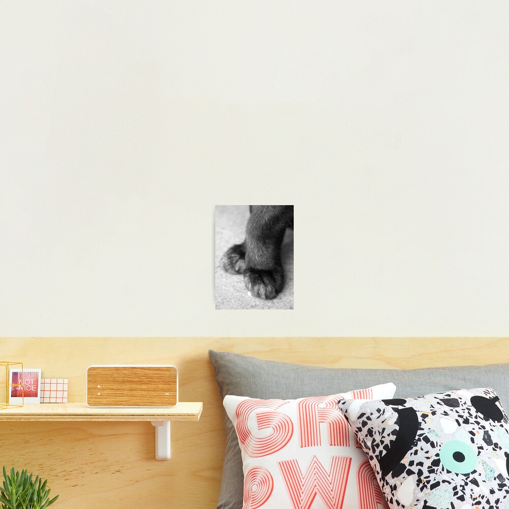 Item preview, Photographic Print designed and sold by Tiffany.