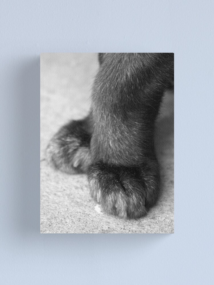Thumbnail 1 of 3, Canvas Print, 5th Position designed and sold by Tiffany.