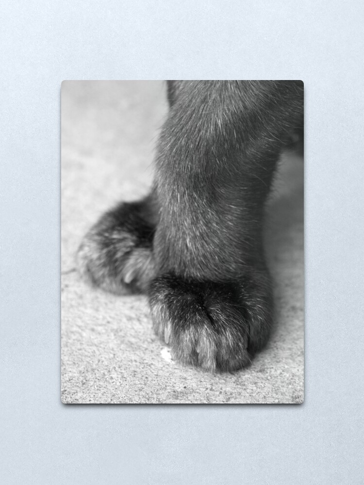 Alternate view of 5th Position Metal Print