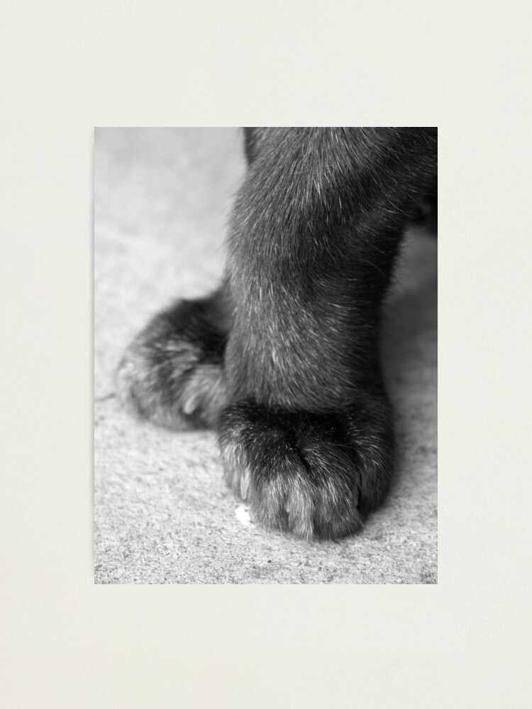 Alternate view of 5th Position Photographic Print