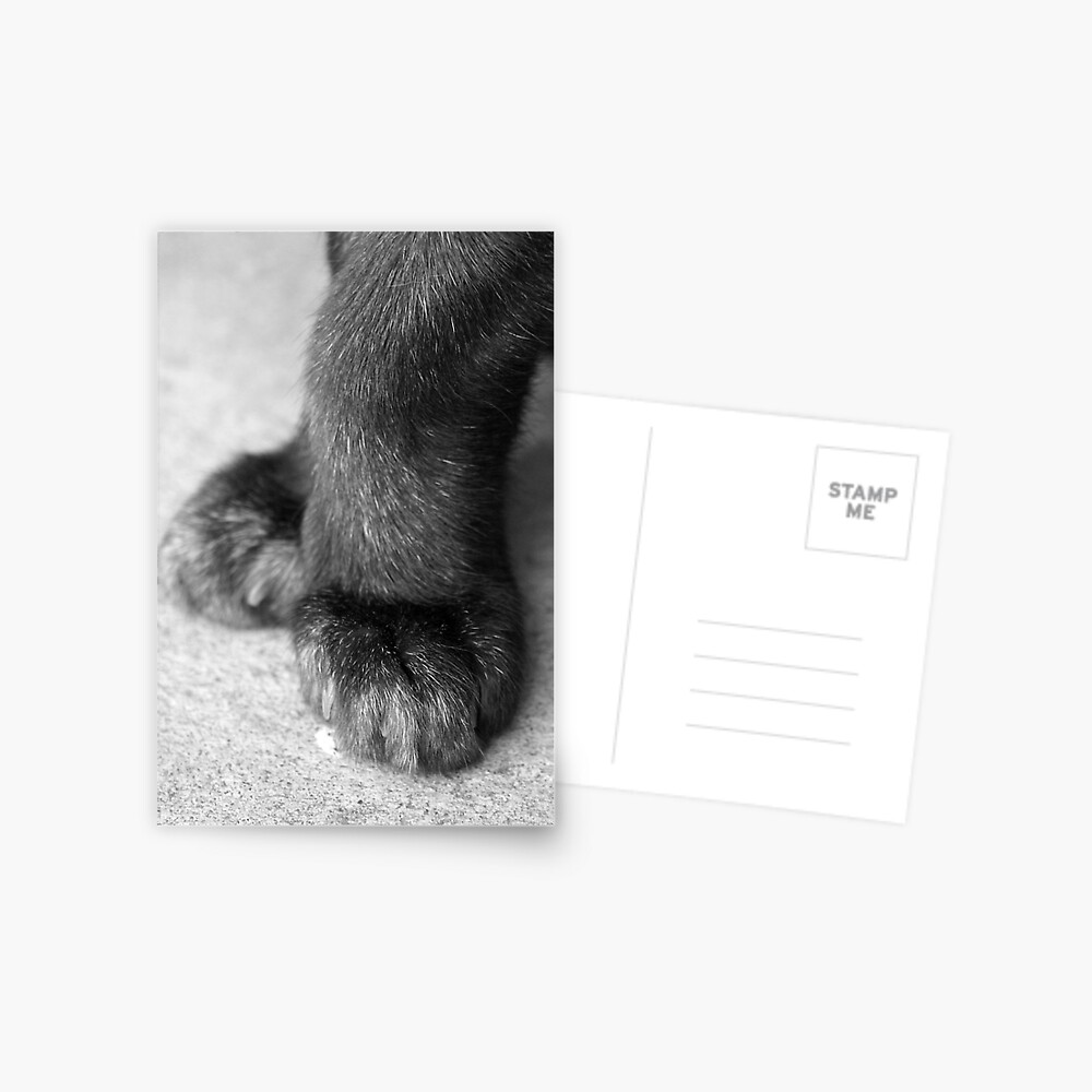 Item preview, Postcard designed and sold by Tiffany.