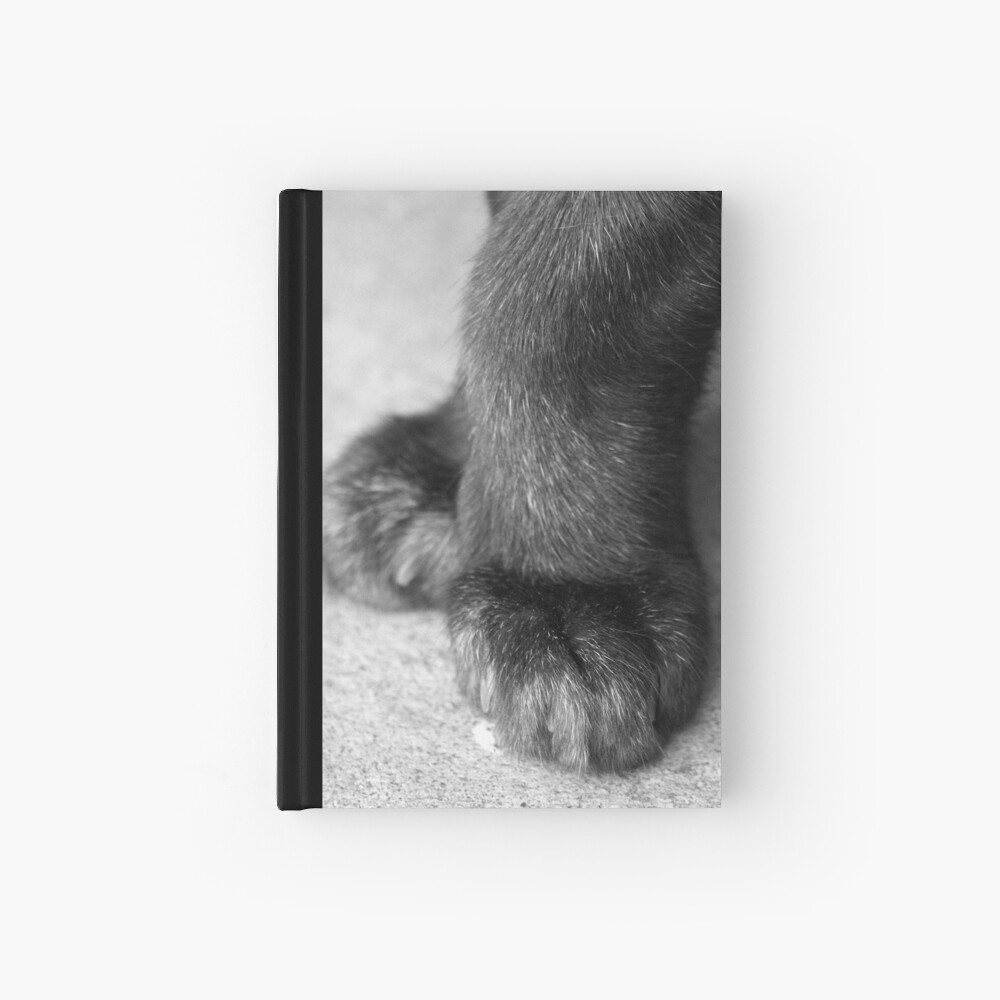 Item preview, Hardcover Journal designed and sold by Tiffany.