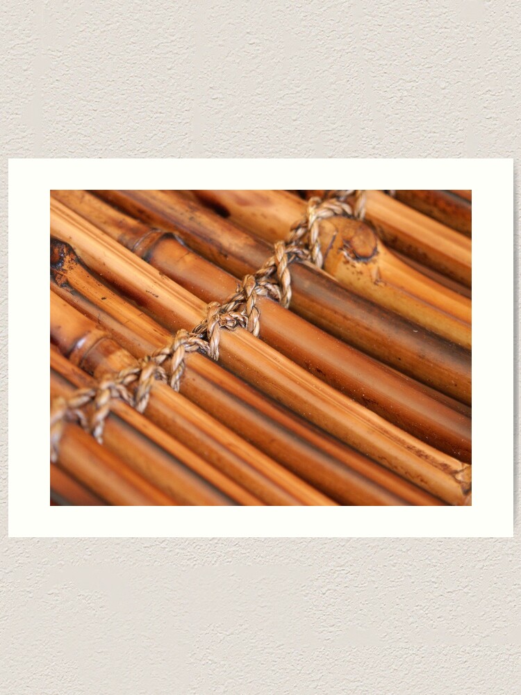 Thumbnail 2 of 3, Art Print, Bamboo designed and sold by Tiffany Dryburgh.