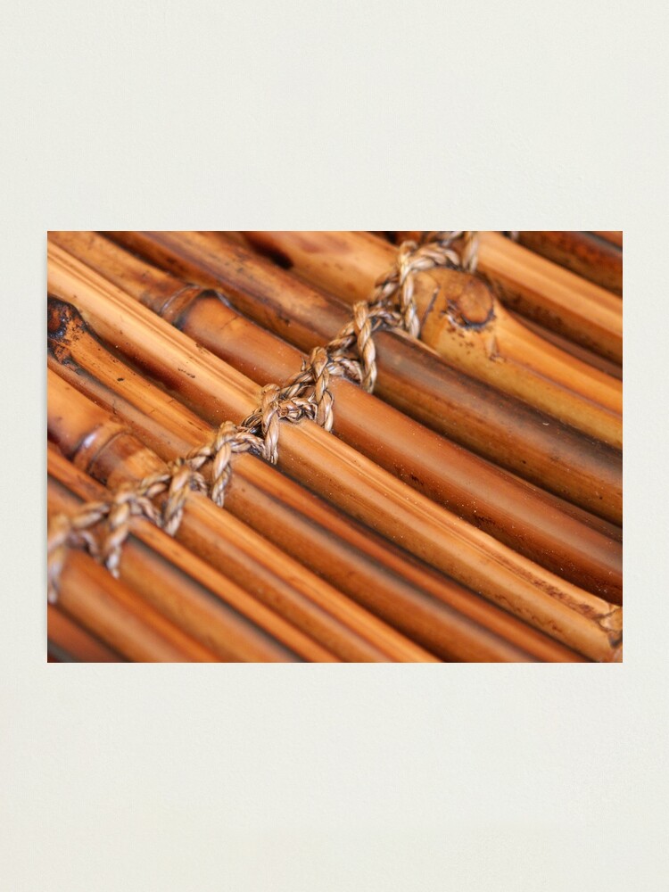 Alternate view of Bamboo Photographic Print