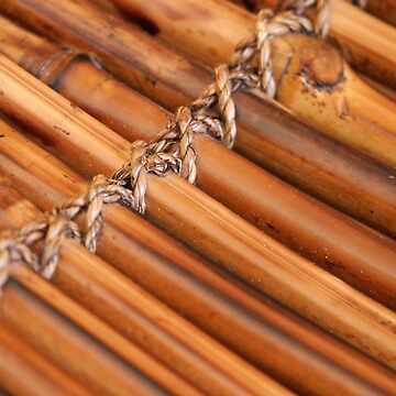 Artwork thumbnail, Bamboo by Tiffany Dryburgh