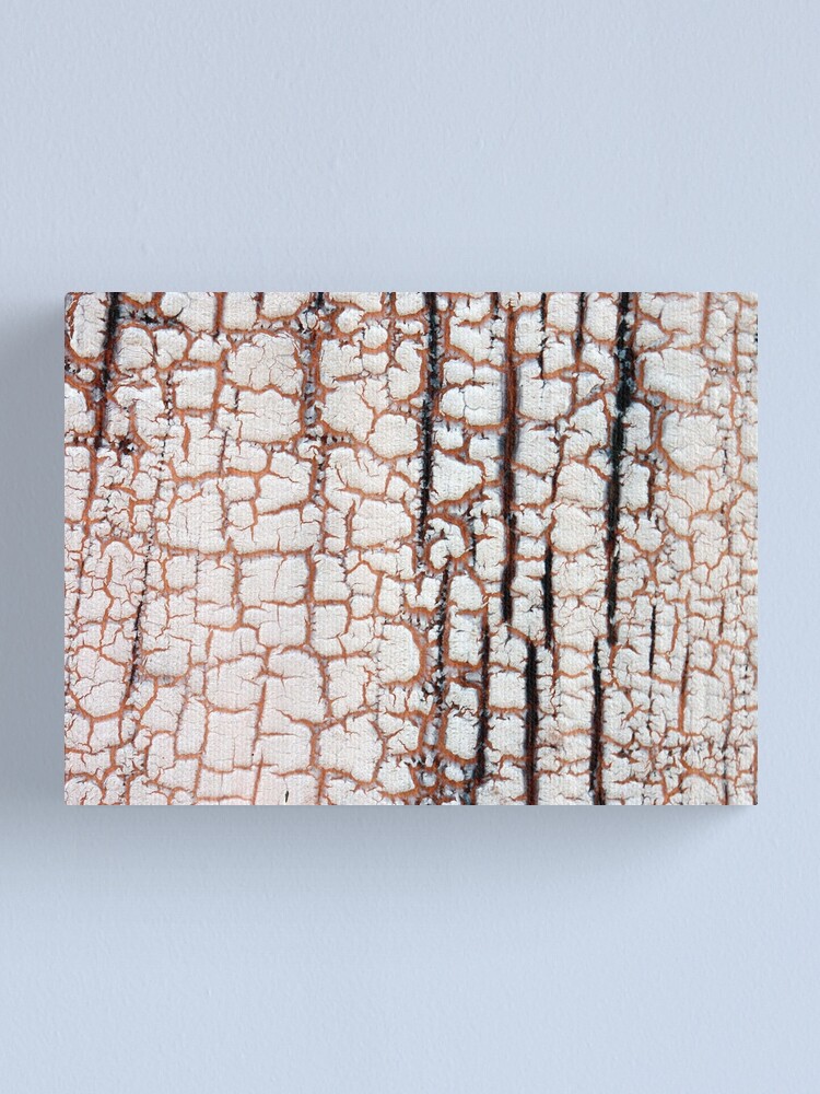 Alternate view of Crackling Canvas Print