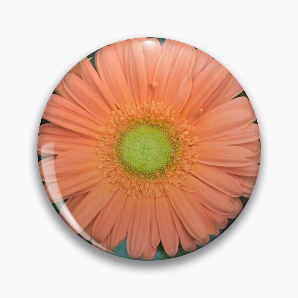 Item preview, Gerbera Daisy - One Bold Orange Bloom on Dark Greens designed and sold by Georgia Mizuleva.