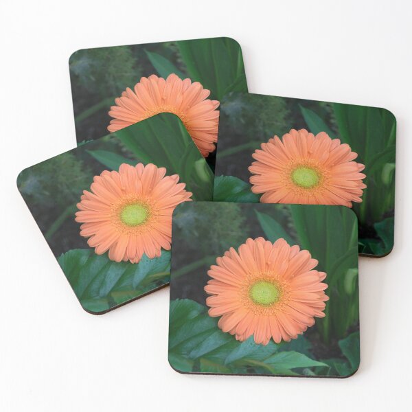 Item preview, Gerbera Daisy - One Bold Orange Bloom on Dark Greens designed and sold by Georgia Mizuleva.