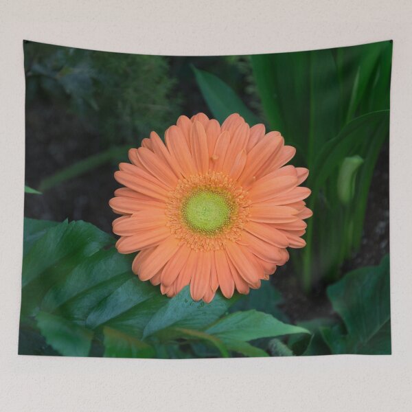 Item preview, Gerbera Daisy - One Bold Orange Bloom on Dark Greens designed and sold by Georgia Mizuleva.