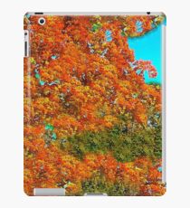 Autumn Impressions #2 iPad Case/Skin