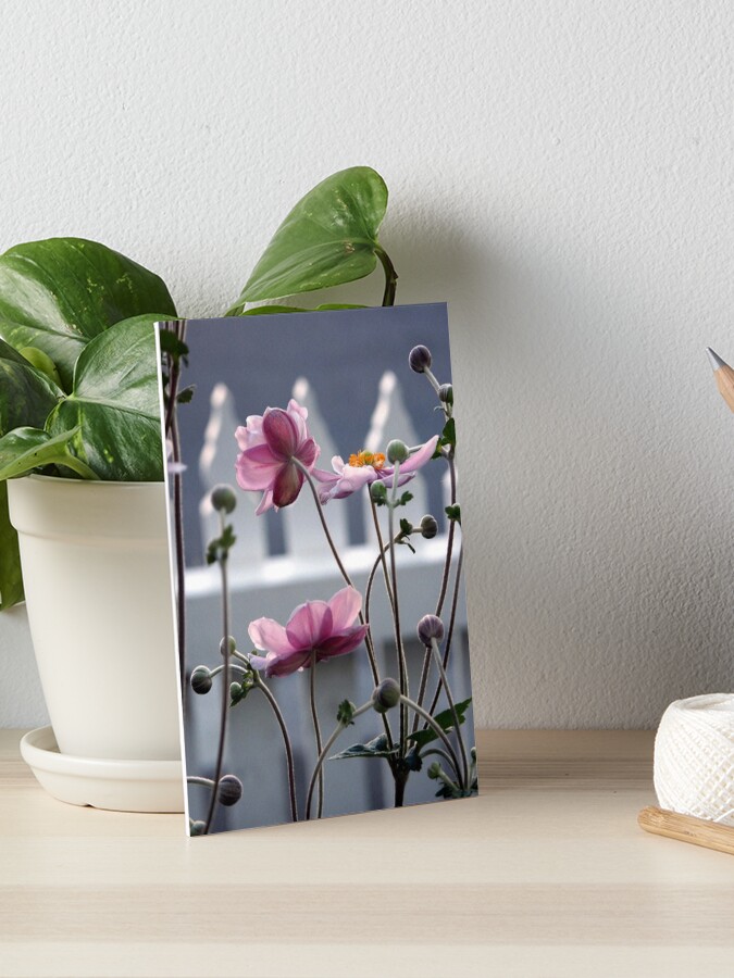 Thumbnail 1 of 2, Art Board Print, Japanese Windflowers designed and sold by Tiffany.