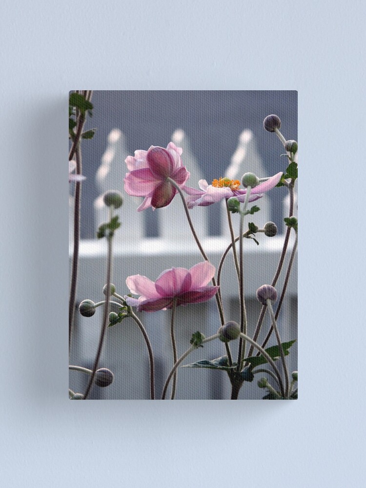 Canvas Print, Japanese Windflowers designed and sold by Tiffany Dryburgh