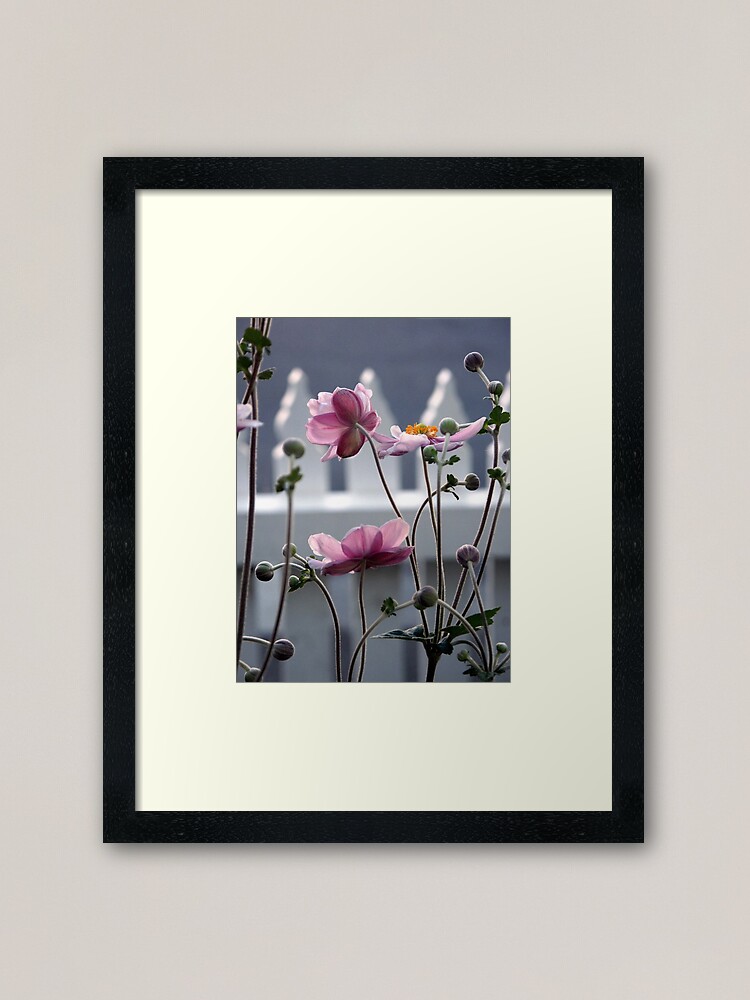 Thumbnail 2 of 7, Framed Art Print, Japanese Windflowers designed and sold by Tiffany Dryburgh.