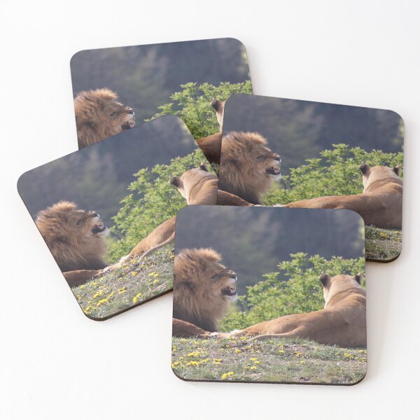 Item preview, How To Impress The Ladies designed and sold by Ladymoose.