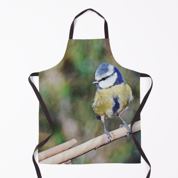 Item preview, r1239/ New Finition 2021 : " Mésange Bleu " 10 (c)(h) Olavia-Olao / Okaio Créations designed and sold by o.okaïo.