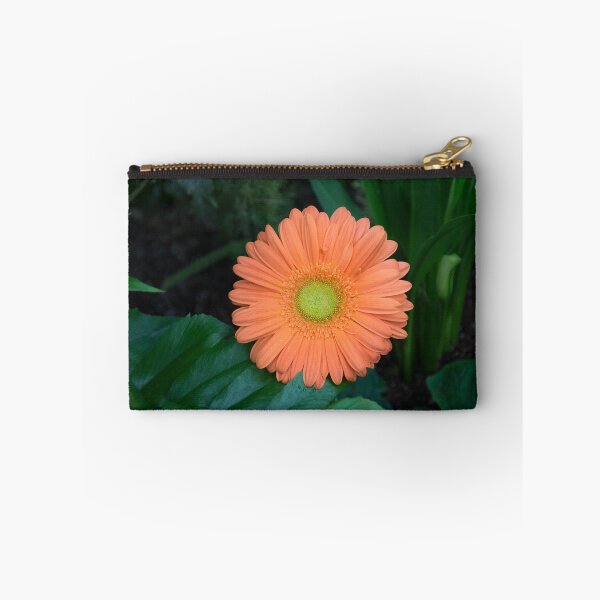 Item preview, Gerbera Daisy - One Bold Orange Bloom on Dark Greens designed and sold by Georgia Mizuleva.