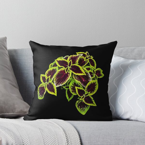Item preview, Colored nettle designed and sold by NW-Photo-Art.