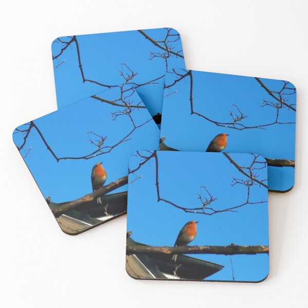 Item preview, little singing bird designed and sold by OMdesigns93.