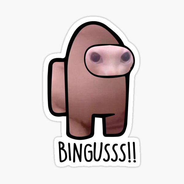 Bingus meme Sticker