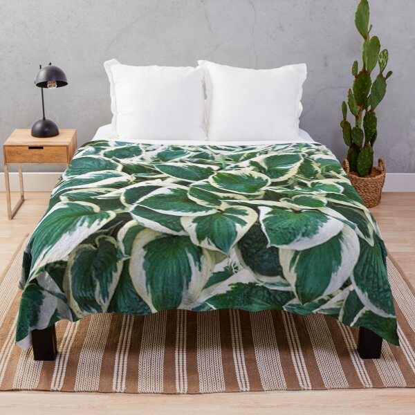 Item preview, Gorgeous Minuteman Hosta Plant designed and sold by Maddie4Real.