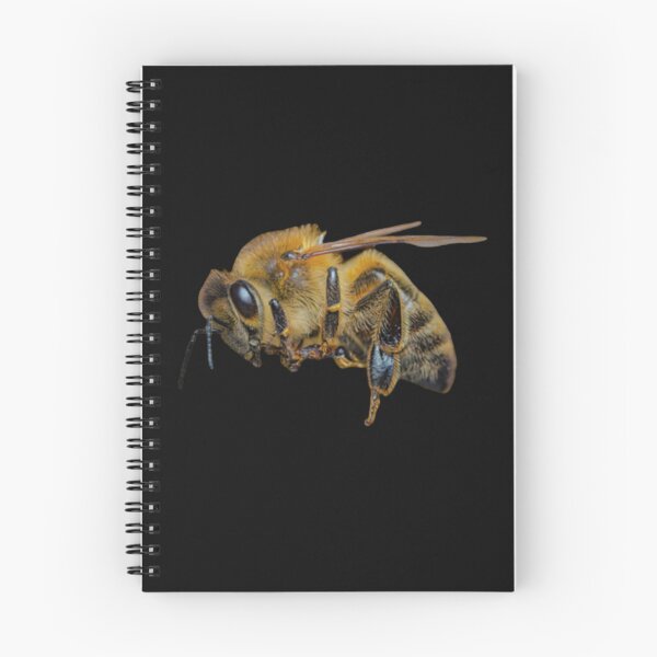 Item preview, Bee design designed and sold by luckyturtles.