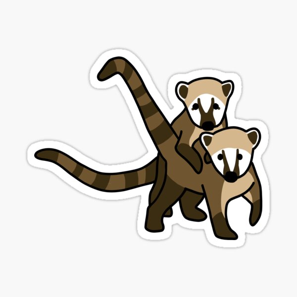 Coati Para Colorear / Western Mountain Coati Coloring Page Free