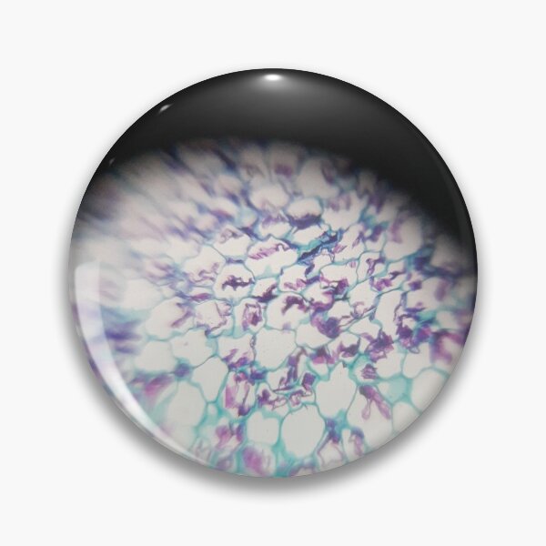 Item preview, PLANT CELL UNDER MICROSCOPE | NATURE | ORGANIC SHAPE | LIGHT designed and sold by CeraRoss.